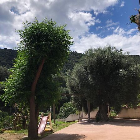 Appartamento Maremontagna Cardedu Exterior photo